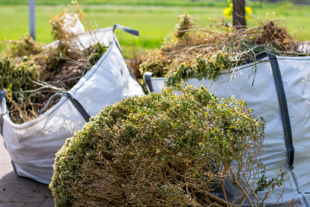  Pagould, AR Junk Removal Pros