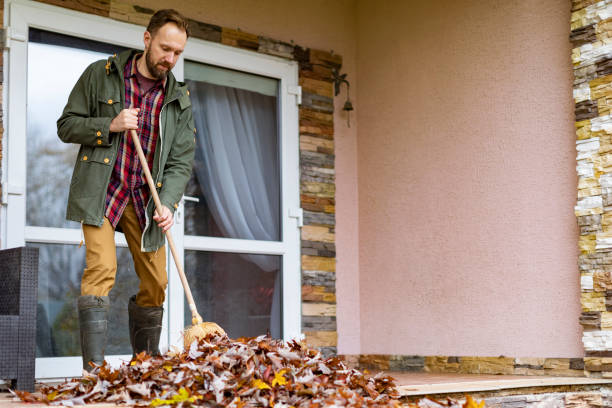 Yard Cleanup Services in Paragould, AR